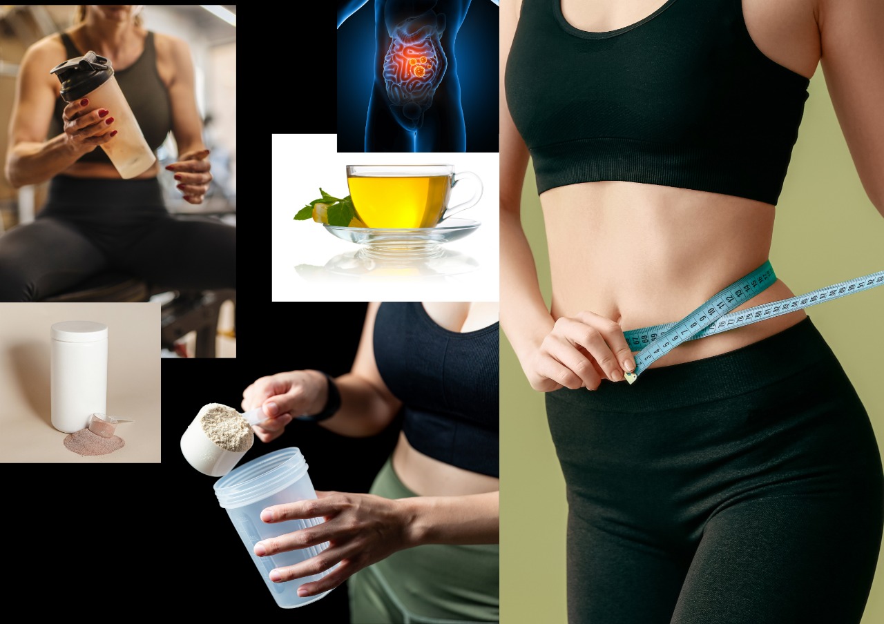 Weightloss, Slimming, Gut Health & Protein Products Workshop